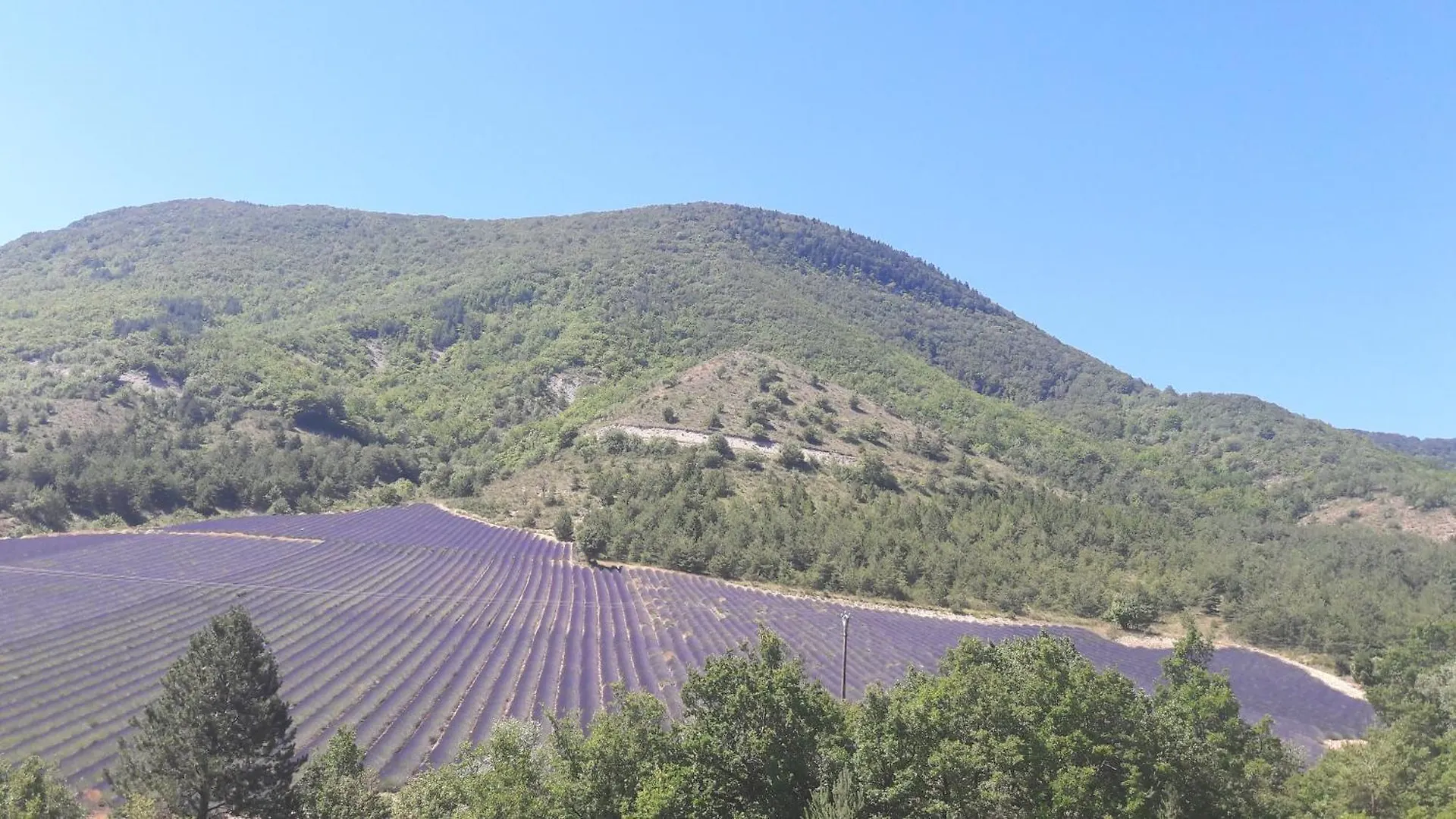 Gîte en Haute Provence Montfroc